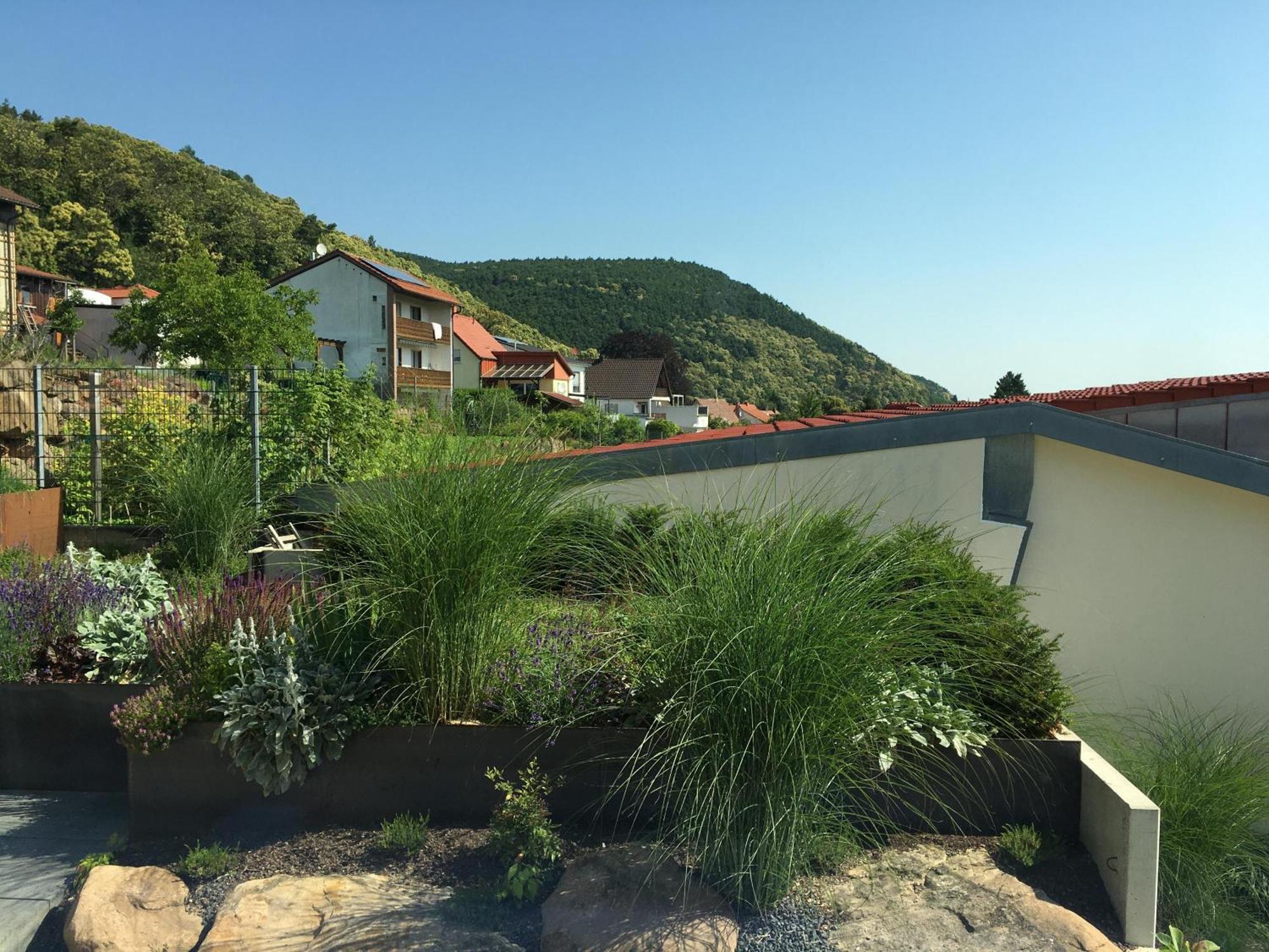 Ferienwohnung Am Ringelsberg Frankweiler Exterior foto